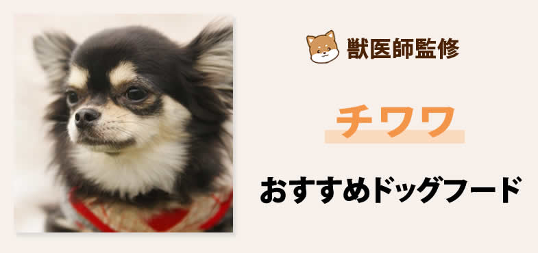 獣医師が太鼓判！チワワに安心して与えられるおすすめドッグフード7選と選び方とは？【2025年5月最新版】