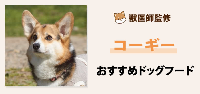獣医師が太鼓判！コーギーに安心して与えられるおすすめドッグフード7選と選び方とは？【2025年5月最新版】
