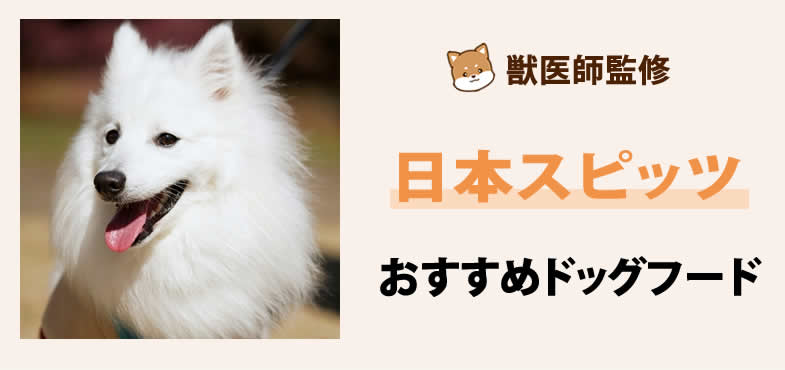 獣医師が太鼓判！日本スピッツに安心して与えられるおすすめドッグフード7選と選び方とは？【2025年5月最新版】