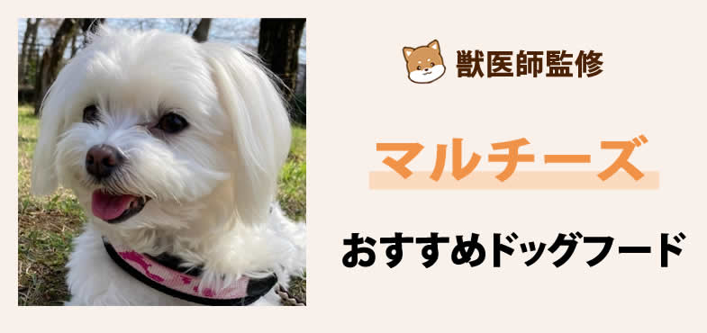 獣医師が太鼓判！マルチーズに安心して与えられるおすすめドッグフード7選と選び方とは？【2025年5月最新版】