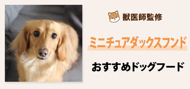 獣医師が太鼓判！ミニチュアダックスフンドに安心して与えられるおすすめドッグフード7選と選び方とは？【2025年5月最新版】