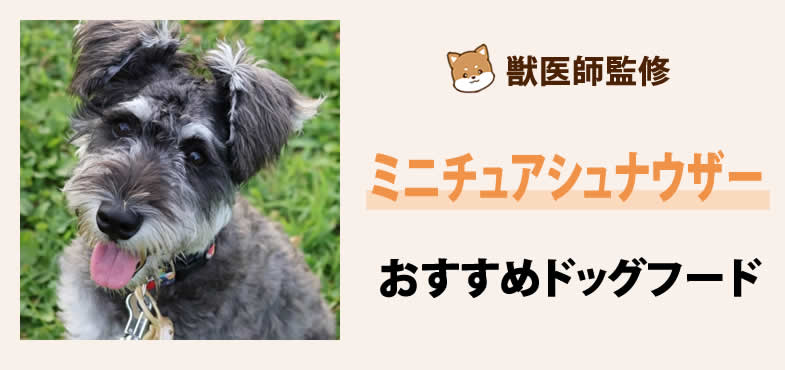 獣医師が太鼓判！ミニチュアシュナウザーに安心して与えられるおすすめドッグフード7選と選び方とは？【2025年5月最新版】