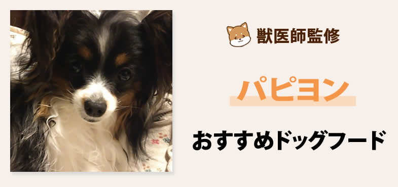 獣医師が太鼓判！パピヨンに安心して与えられるおすすめドッグフード7選と選び方とは？【2025年5月最新版】