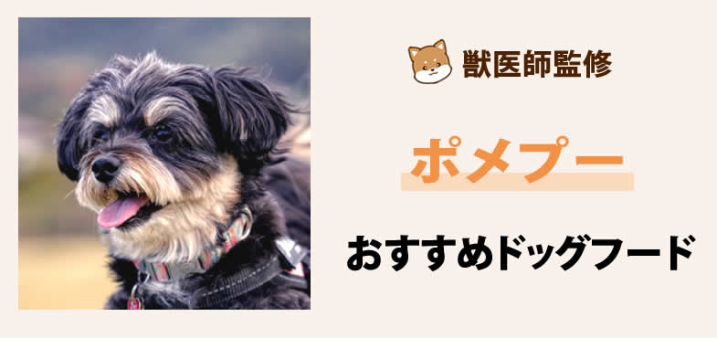 獣医師が太鼓判！ポメプーに安心して与えられるおすすめドッグフード7選と選び方とは？【2025年5月最新版】