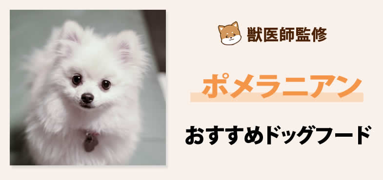 獣医師が太鼓判！ポメラニアンに安心して与えられるおすすめドッグフード7選と選び方とは？【2025年5月最新版】