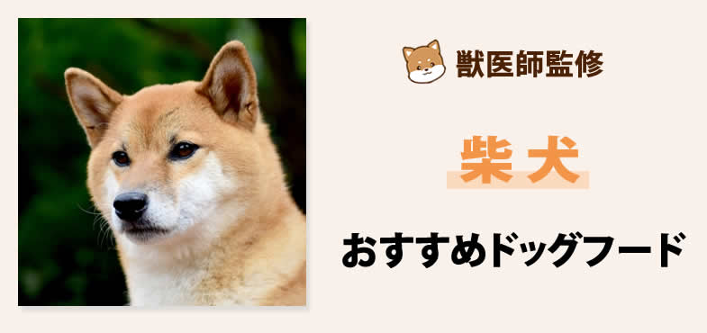 獣医師が太鼓判！柴犬（しばけん/しばいぬ）に安心して与えられるおすすめドッグフード7選と選び方とは？【2025年5月最新版】