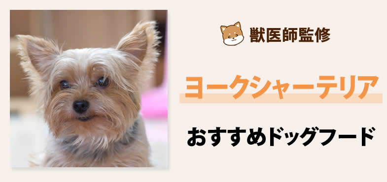 獣医師が太鼓判！ヨークシャーテリアに安心して与えられるおすすめドッグフード7選と選び方とは？【2025年5月最新版】