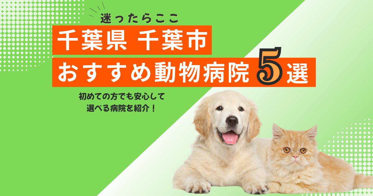 【地元で選ばれる】千葉市のおすすめ動物病院5選｜2025年6月最新版