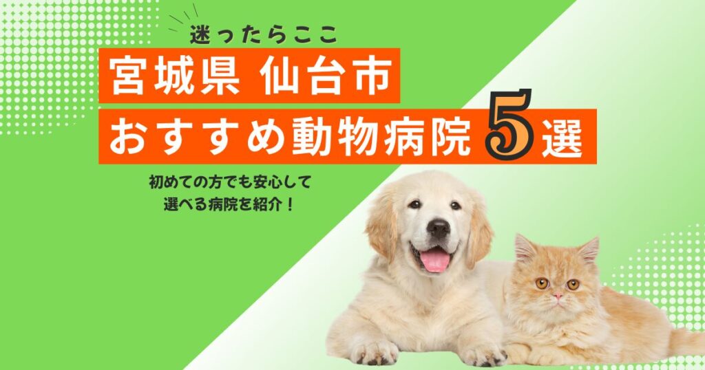 【地元で選ばれる】仙台市のおすすめ動物病院5選｜2025年6月最新版