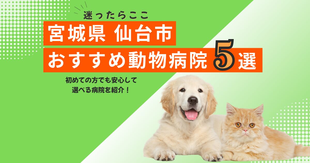 【地元で選ばれる】仙台市のおすすめ動物病院5選｜2025年6月最新版