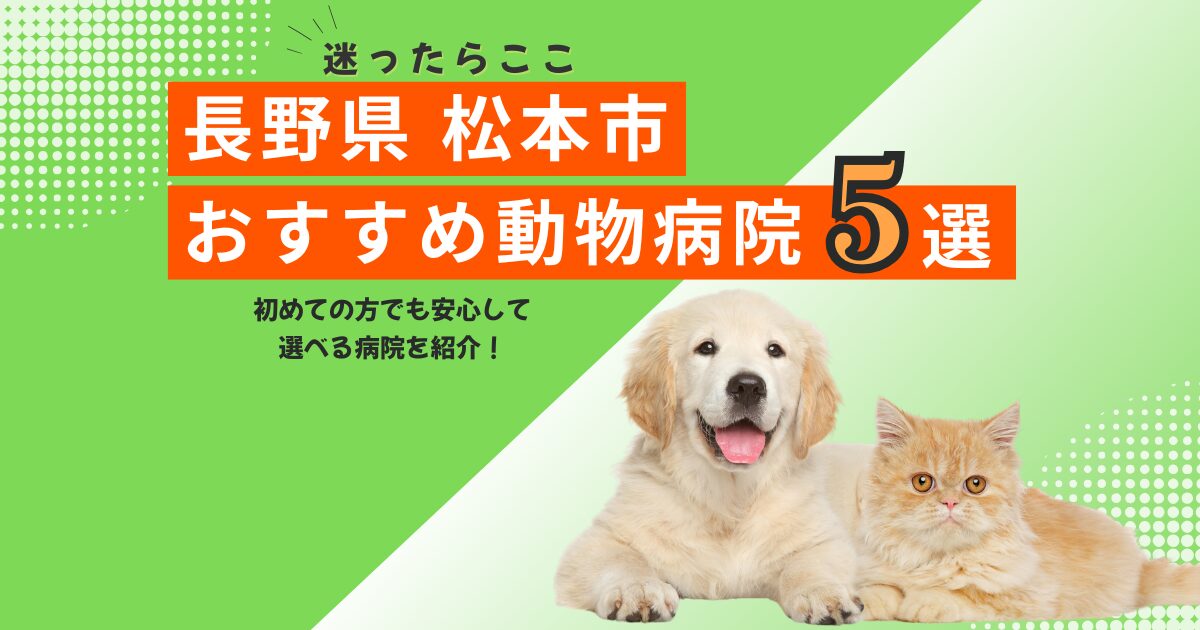 【地元で選ばれる】松本市のおすすめ動物病院5選｜2025年6月最新版