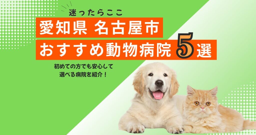 【地元で選ばれる】名古屋市のおすすめ動物病院5選｜2025年6月最新版
