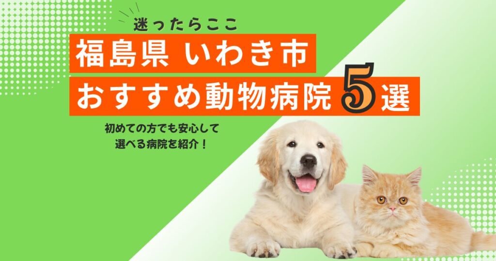 【地元で選ばれる】いわき市のおすすめ動物病院5選｜2025年6月最新版