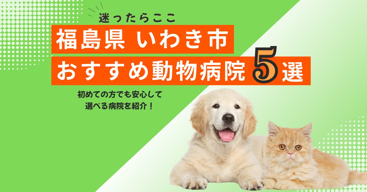 【地元で選ばれる】いわき市のおすすめ動物病院5選｜2025年6月最新版