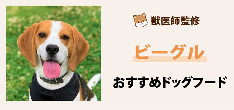 獣医師が太鼓判！ビーグルに安心して与えられるおすすめドッグフード7選と選び方とは？【2025年6月最新版】