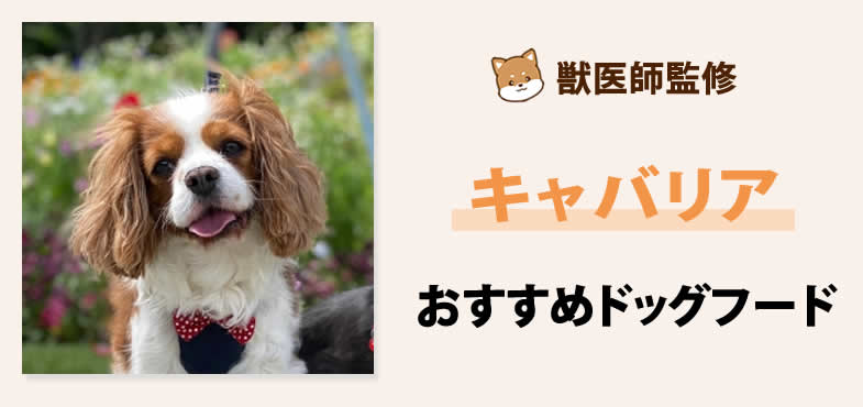 獣医師が太鼓判！キャバリアに安心して与えられるおすすめドッグフード7選と選び方とは？【2025年6月最新版】