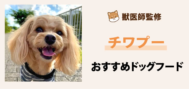 獣医師が太鼓判！チワプーに安心して与えられるおすすめドッグフード7選と選び方とは？【2025年5月最新版】