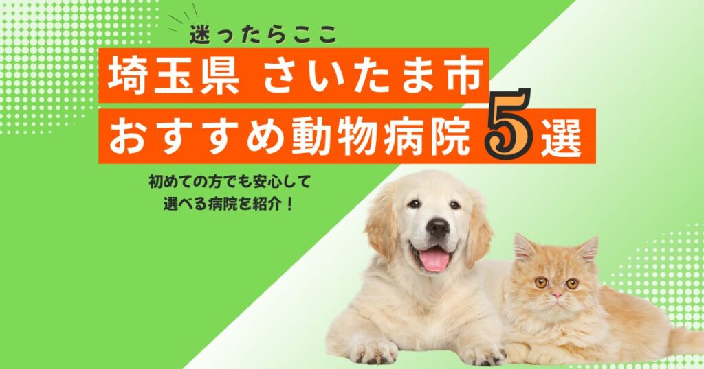 【地元で選ばれる】さいたま市のおすすめ動物病院5選｜2025年6月最新版