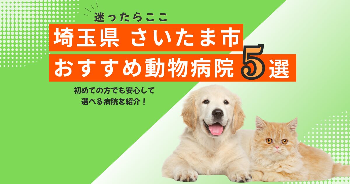 【地元で選ばれる】さいたま市のおすすめ動物病院5選｜2025年6月最新版
