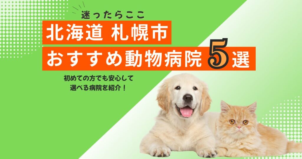 【地元で選ばれる】札幌市のおすすめ動物病院5選｜2025年6月最新版