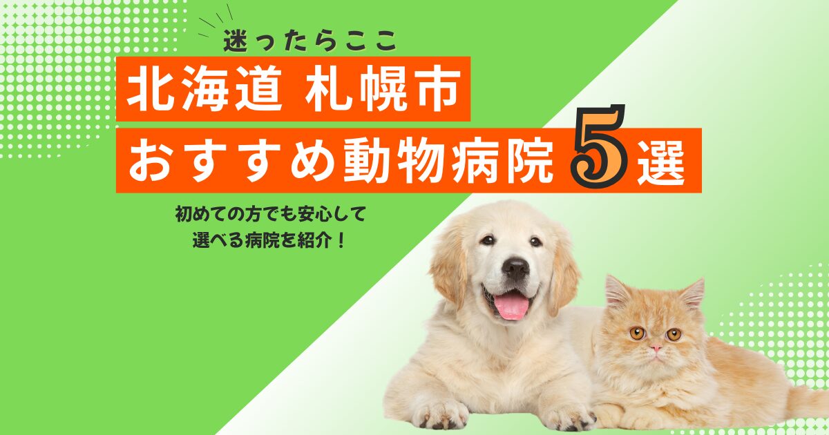 【地元で選ばれる】札幌市のおすすめ動物病院5選｜2025年6月最新版