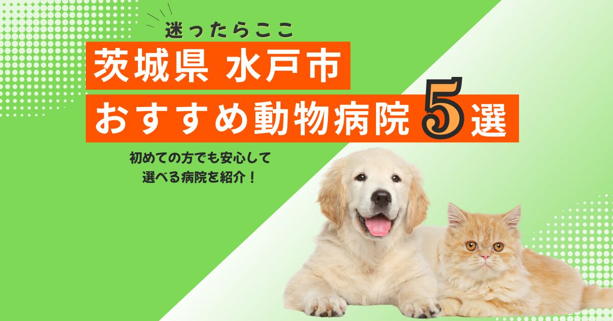 【地元で選ばれる】水戸市のおすすめ動物病院5選｜2025年6月最新版