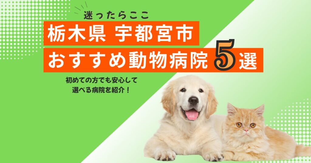【地元で選ばれる】宇都宮市のおすすめ動物病院5選｜2025年6月最新版