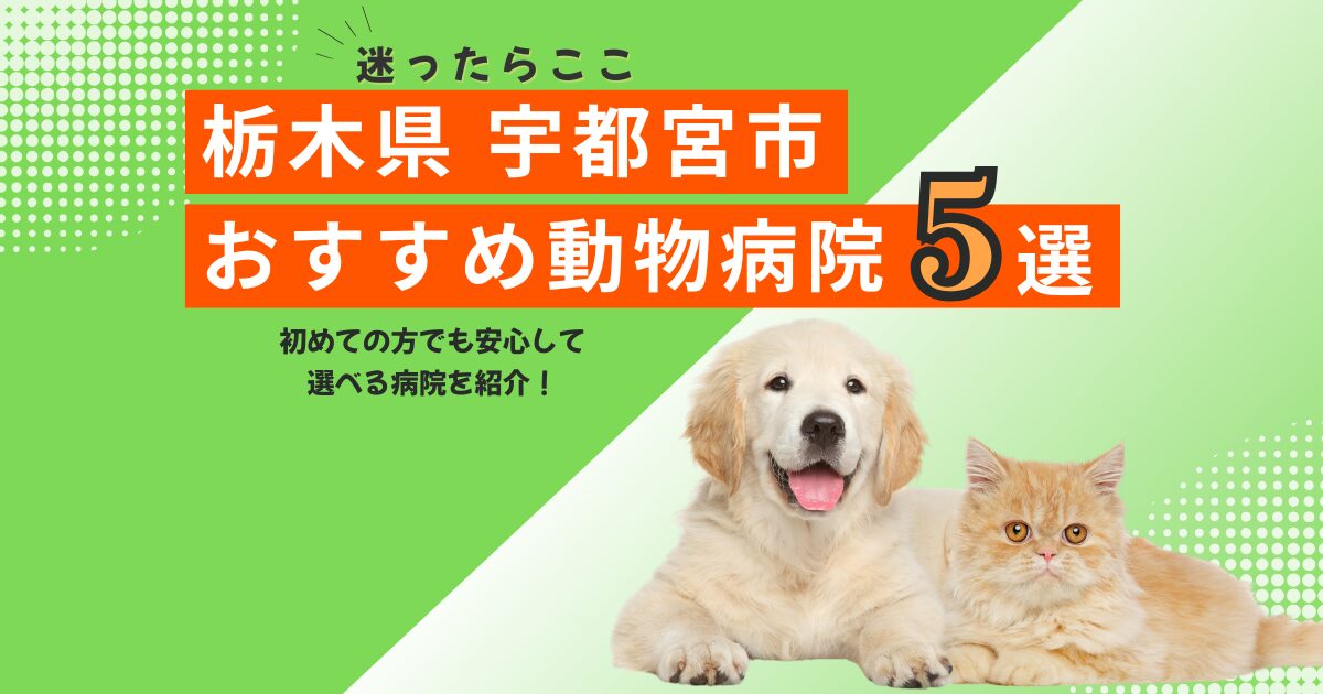 【地元で選ばれる】宇都宮市のおすすめ動物病院5選｜2025年6月最新版