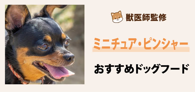 獣医師が太鼓判！ミニチュア・ピンシャー（ミニピン）に安心して与えられるおすすめドッグフード7選と選び方とは？【2025年6月最新版】