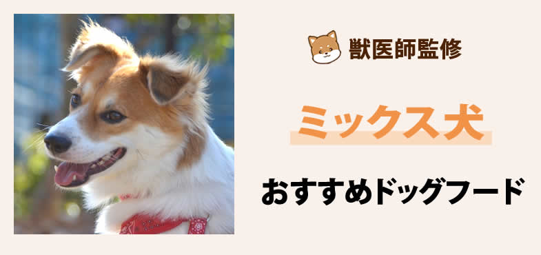 獣医師が太鼓判！ミックス犬に安心して与えられるおすすめドッグフード7選と選び方とは？【2025年6月最新版】