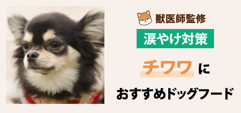 獣医師が太鼓判！チワワの涙やけ対策におすすめドッグフード7選と選び方とは？【2025年6月最新版】