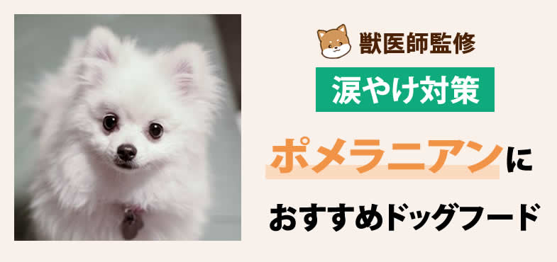 獣医師が太鼓判！ポメラニアンの涙やけ対策におすすめドッグフード7選と選び方とは？【2025年6月最新版】