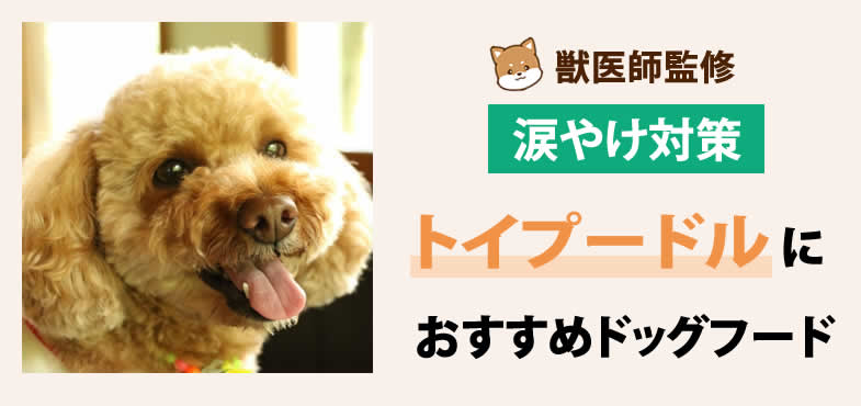 獣医師が太鼓判！トイプードルの涙やけ対策におすすめドッグフード7選と選び方とは？【2025年6月最新版】