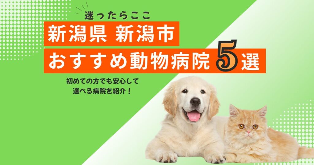 【地元で選ばれる】新潟市のおすすめ動物病院5選｜2025年6月最新版
